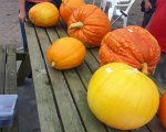 september